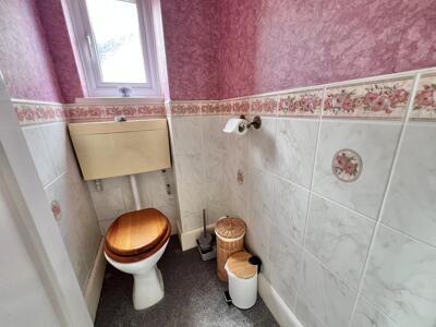 Picture 19
